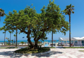 Beach Apartment Montemarcarihuela